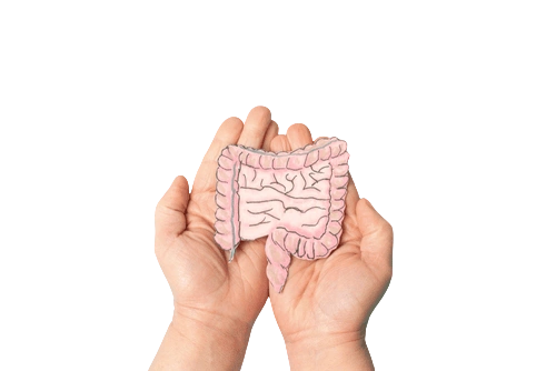 дисбактериоз кишечника