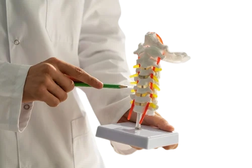 невролог готов помочь в лечении протрузий межпозвоночных дисков