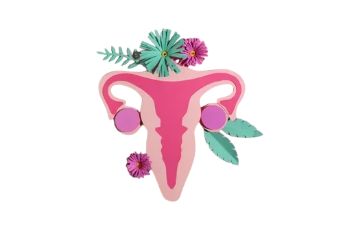 матка с доброкачественной опухолью лейомиомой