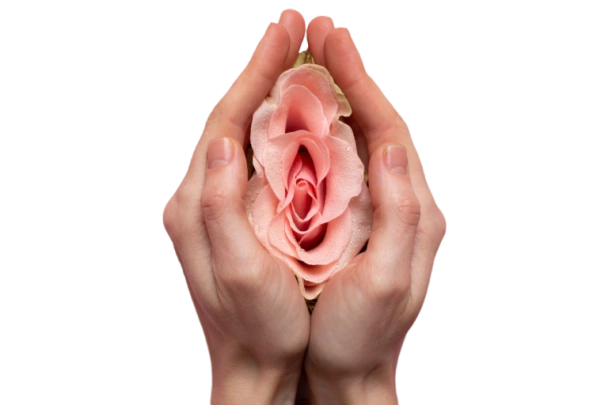 символ борьбы и выздоровление от рака яичников